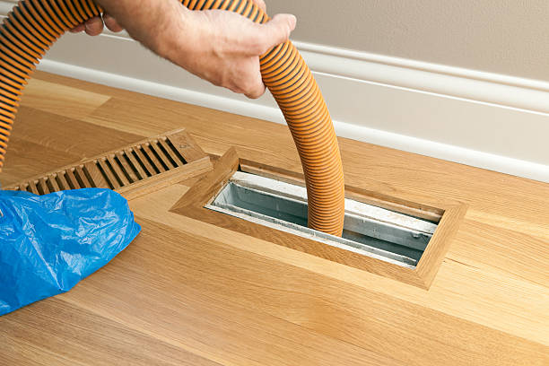 Best Professional Duct Cleaning Services  in Siesta Acres, TX